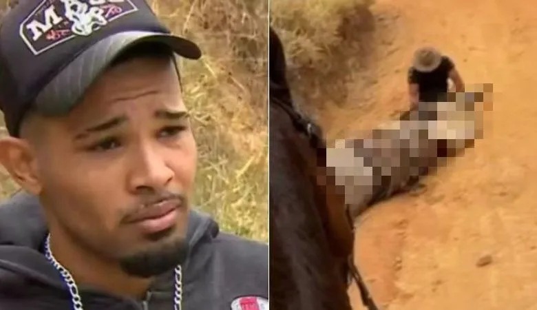 Homem acusado de mutilar cavalo diz temer pela própria vida: ‘Não sou um monstro’