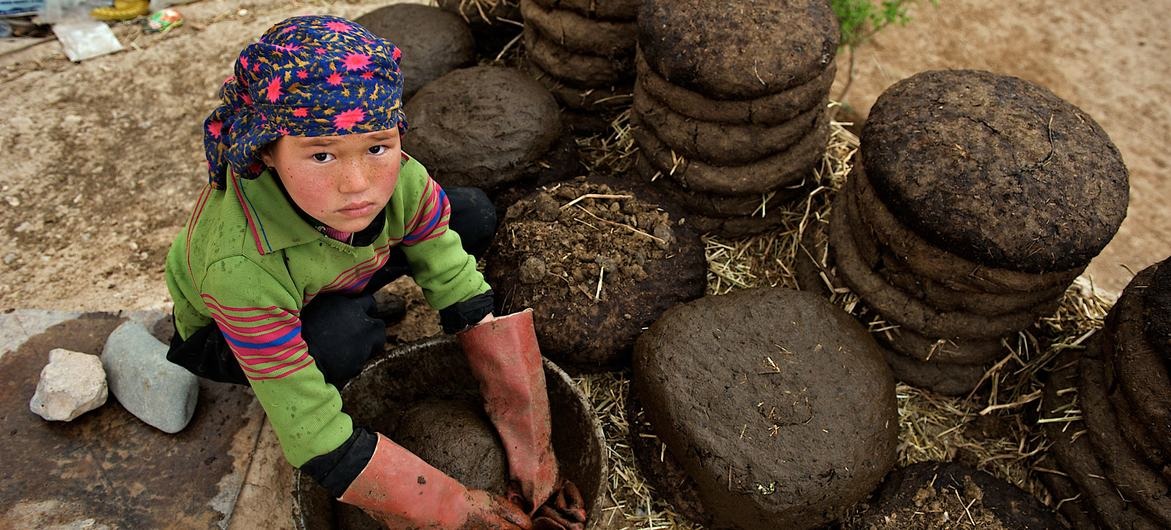 Trabalho infantil faz 138 milhões de vítimas em todo o mundo, diz ONU